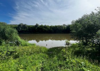 «Вдох, и все, 40 секунд – человека нет!»: как гибнут люди на воде