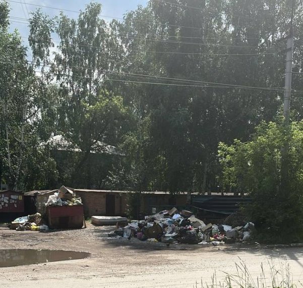 «Жгу свечи, чтобы не задохнуться»: новосибирцы жалуются на зловония от неубранной мусорки