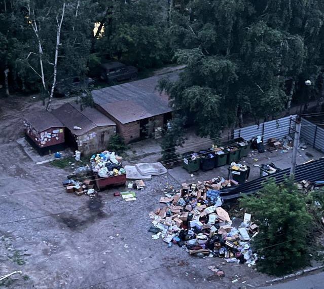 Регоператор прокомментировал, почему новосибирцы задыхаются от переполненной мусорки на улице Аэропорт