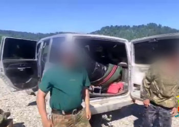 Двух браконьеров задержали на Алтае