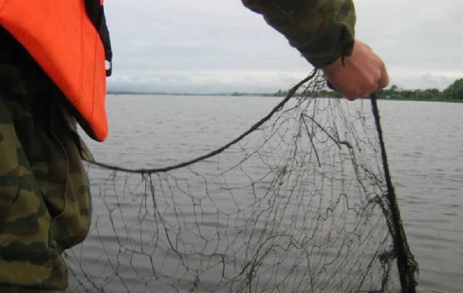 В Новосибирской области осудят мужчину за незаконную рыбалку во время нереста