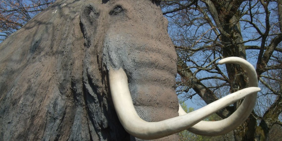 Ученые из Новосибирска исследовали мамонтов возрастом в 28 тысяч лет