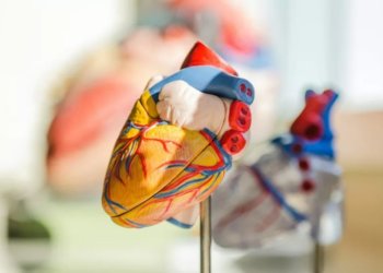 Ученые узнали, что инфаркт опаснее для женщин, чем для мужчин