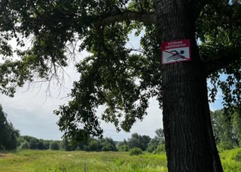 Тела двух утонувших сибиряков обнаружили в Новосибирске