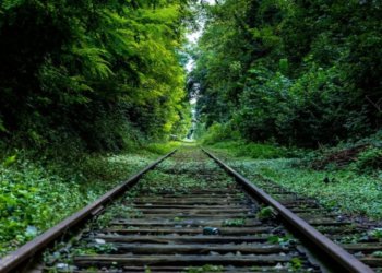 Нетрезвый мужчина уснул на ЖД путях и погиб в Новосибирской области