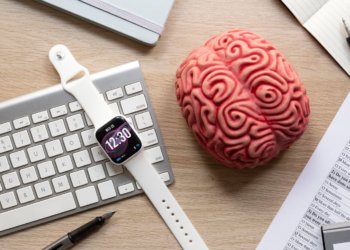 Алгоритм для выявления приступа эпилепсии создал ученый из Новосибирска