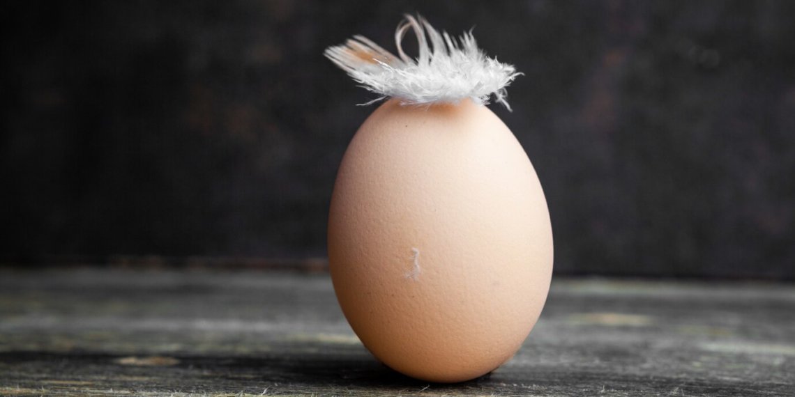 Во всех кузбасских магазинах сети «Магнит» проводят переборку куриных яиц из-за появления в них опарышей