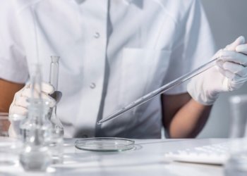 Биогель для увеличения сохранности овощей и фруктов разработали новосибирские ученые