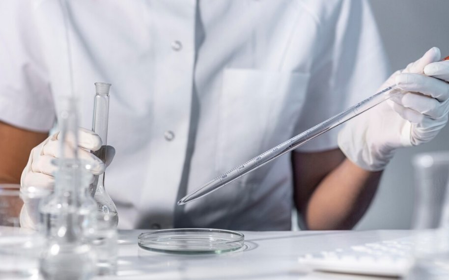 Биогель для увеличения сохранности овощей и фруктов разработали новосибирские ученые