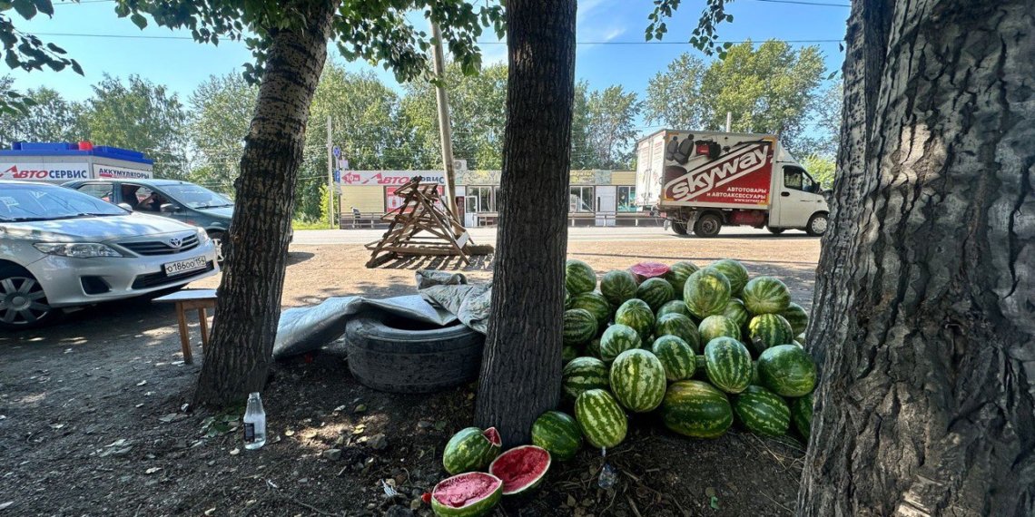 Полицейские изъяли 400 кг фруктов и овощей у торговцев-нелегалов в Новосибирске