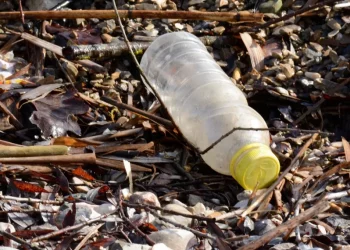 В Новосибирской области построят временный полигон ТКО за 30 млн рублей