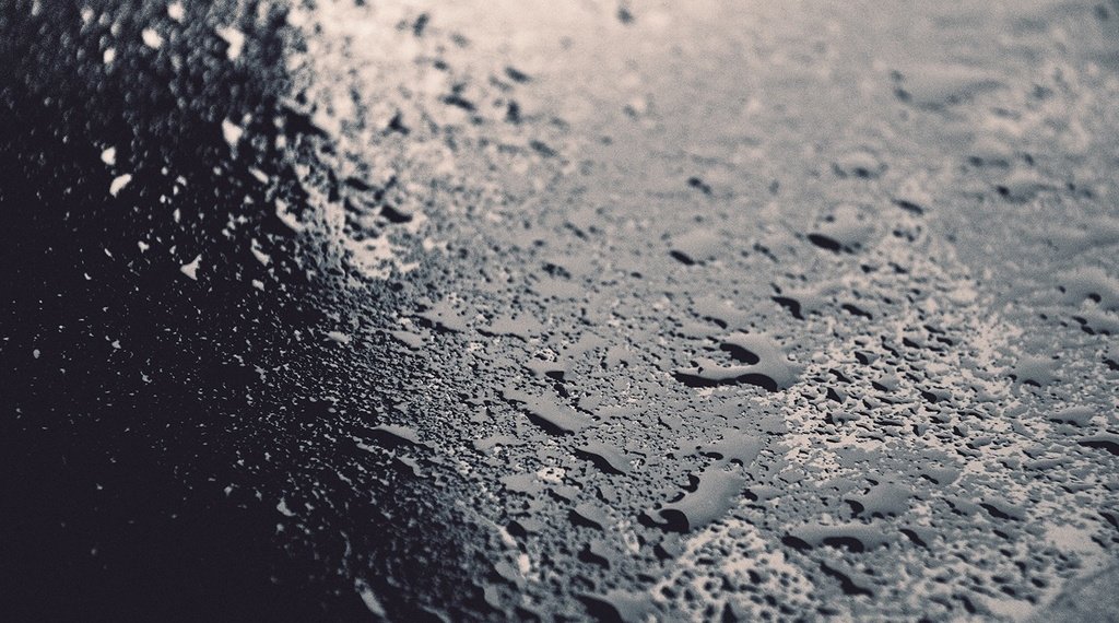 В Новосибирске всю следующую неделю ожидаются дожди