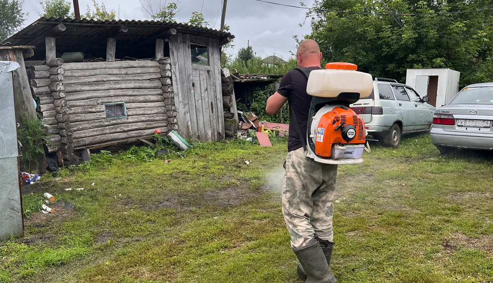 Дикая лиса могла заразить бешенством собаку в Тогучинском районе