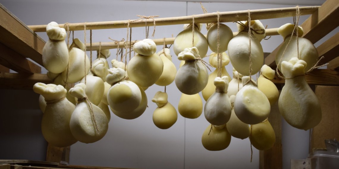 Аффинер сыра, скорняк и инструктор-маршал — каких необычных специалистов ищут в Новосибирске