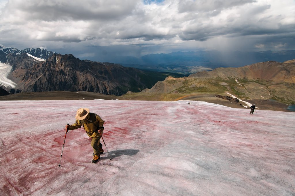Багровый пик Алтая. Ученые выяснили почему ледник на горной вершине окрасился в «кровавый» цвет