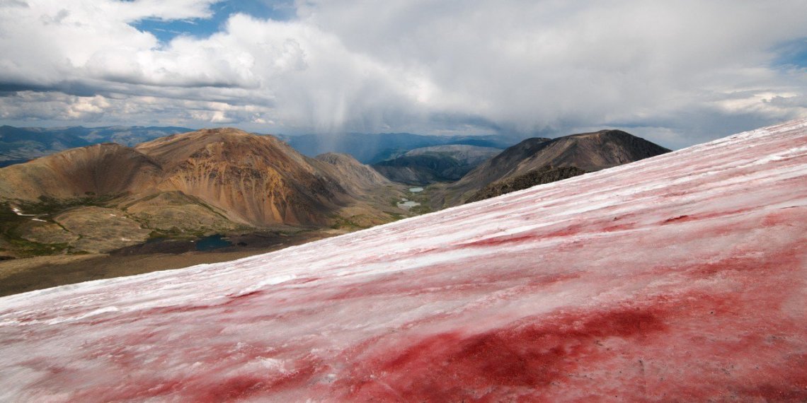 Багровый пик Алтая. Ученые выяснили почему ледник на горной вершине окрасился в «кровавый» цвет
