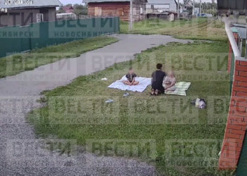 Взрослый мужчина предложил дружить и целоваться двум школьницам на лужайке под Новосибирском