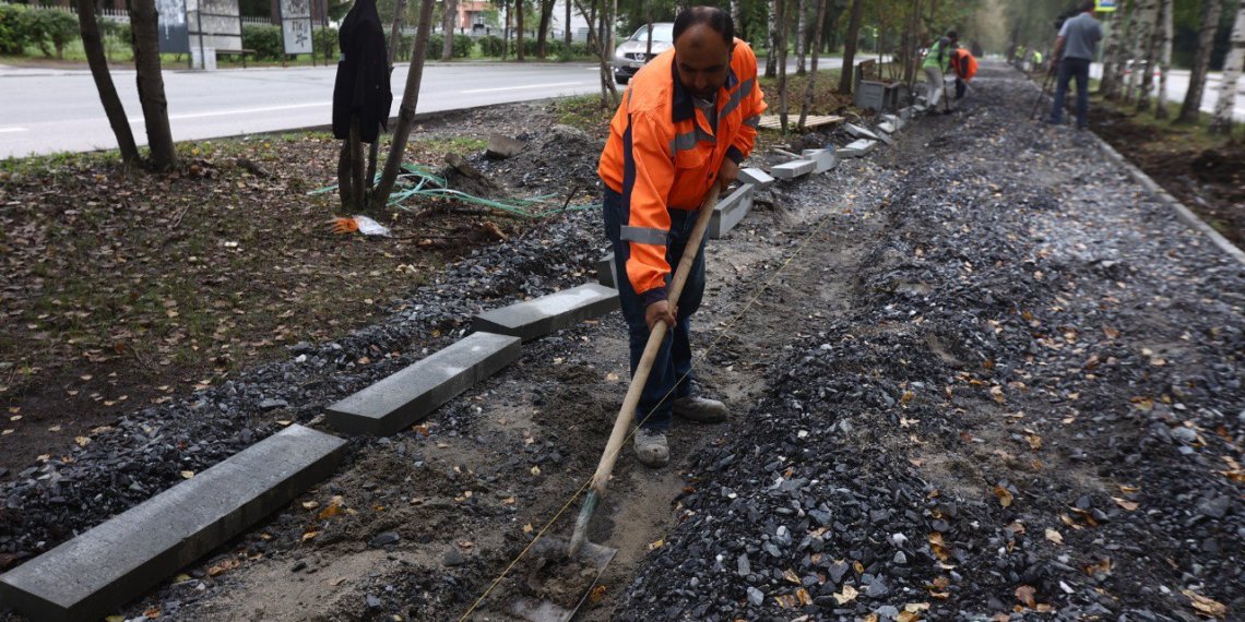 Сохранят деревья и обновят газоны: в Новосибирске обновят улицу Эйхе