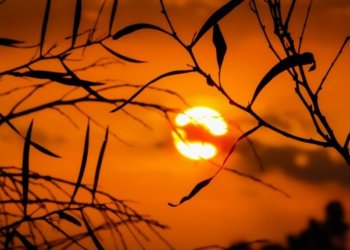 Мощная магнитная буря придет в Новосибирск на выходных