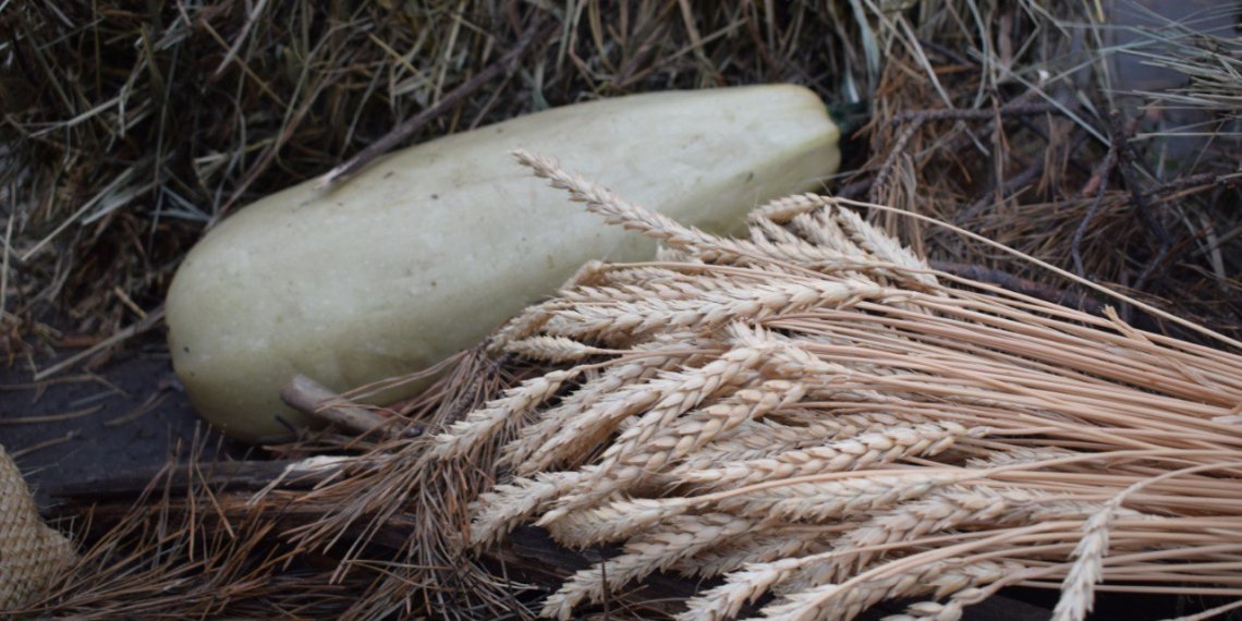 По инициативе губернатора Андрея Травникова для студентов-аграриев организуют практику в сельхозпредприятиях региона