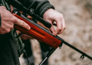 Браконьер напал на возмутившегося охотоведа в Новосибирске