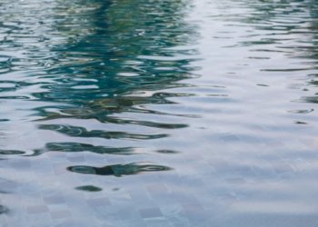 Гиблое место: тонущую девушку успели спасти в парке «Арена» в Новосибирске