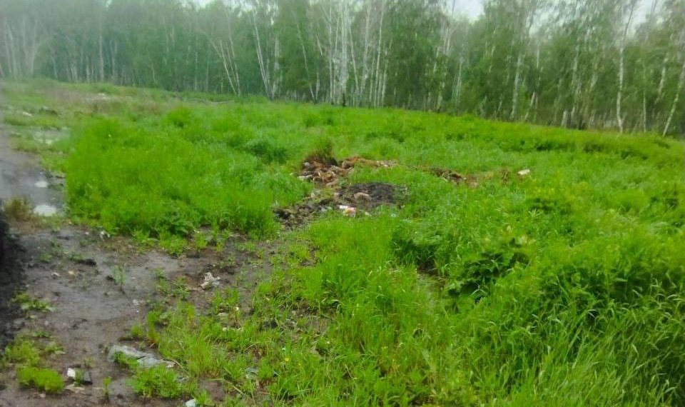 В селе под Новосибирском свалку ТКО ликвидировали через суд