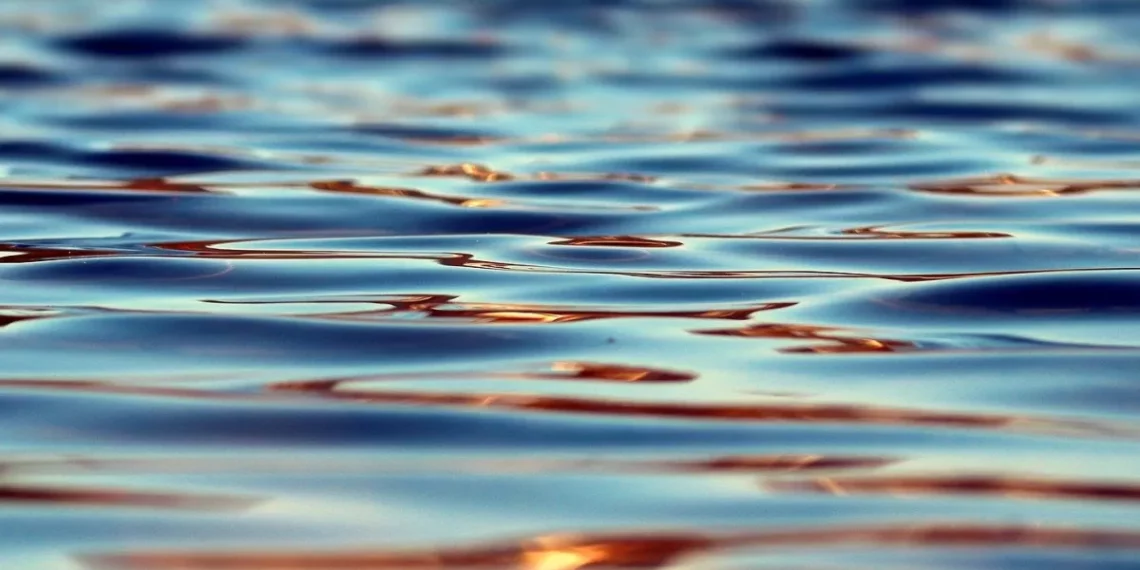 В Алтайском крае организовали проверку из-за «химического» загрязнение озера