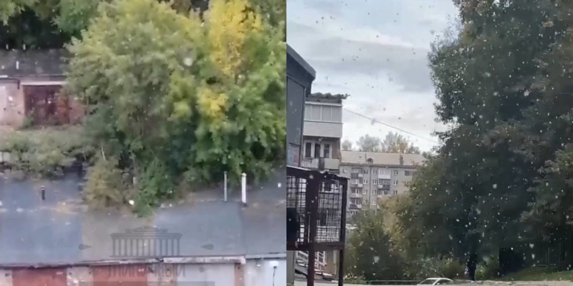 В Новосибирске выпал первый снег