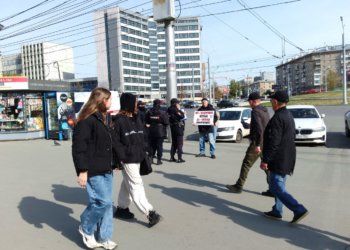 В Новосибирске прошли пикеты в поддержку свободного интернета