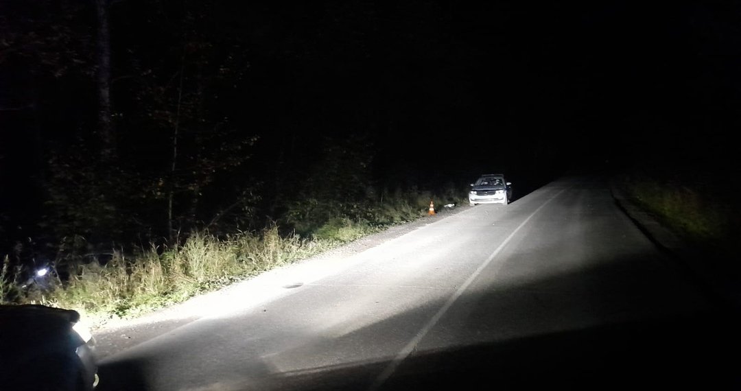 В кювет и в дерево: смертельная авария произошла под Новосибирском