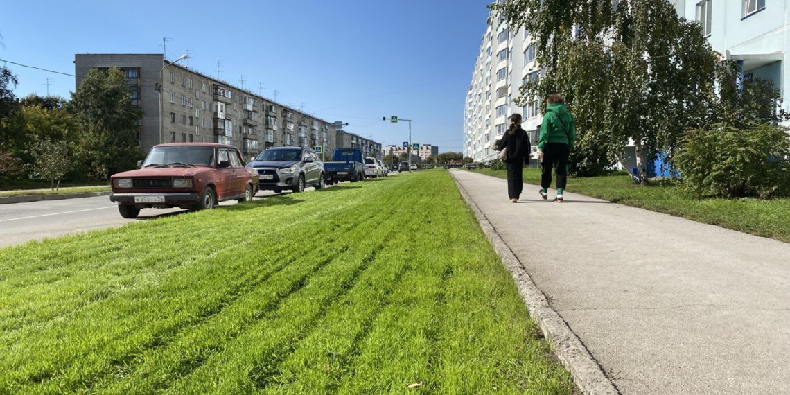 Новый газон положили на Динамовцев в Новосибирске