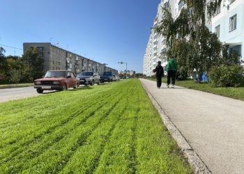 Новый газон положили на Динамовцев в Новосибирске