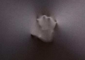 В Петербурге блогер из Новосибирска убил местного активиста