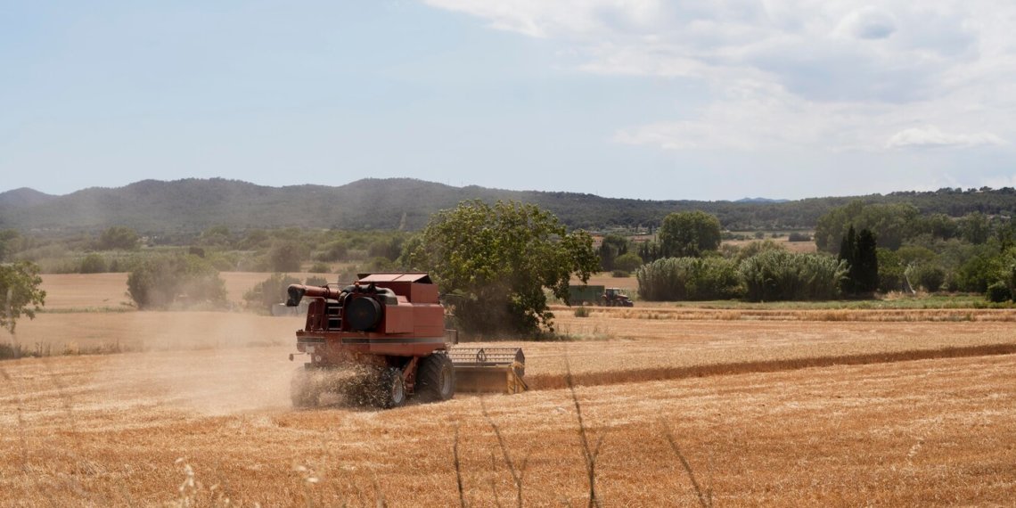 Из-за угрозы гибели урожая в Красноярском крае ввели режим ЧС