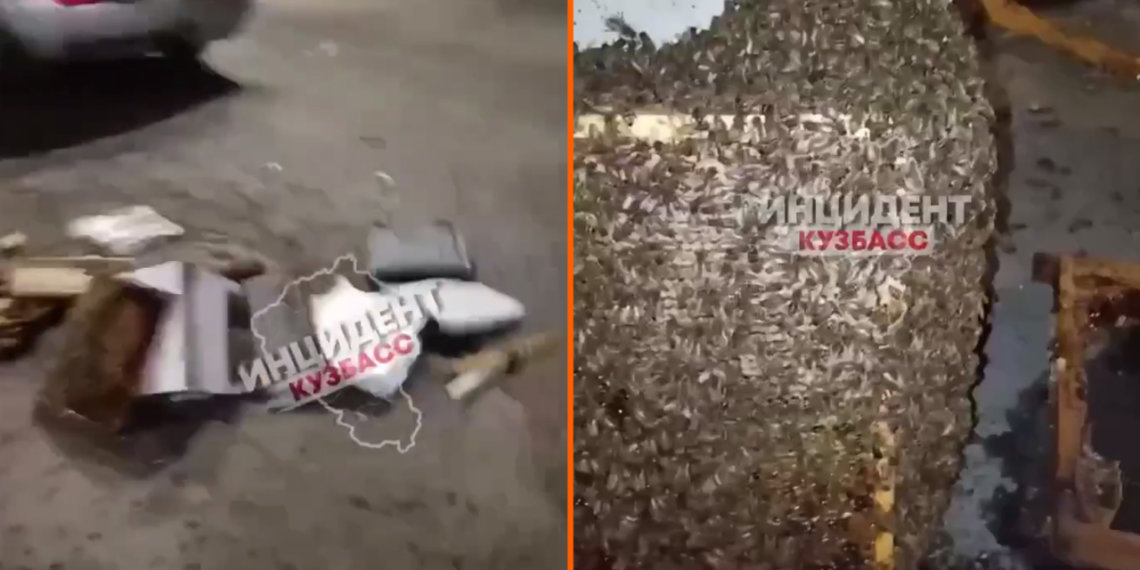 Пчелы перекрыли проезжую часть в Сибири