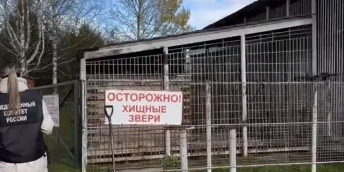 На турбазе в Сибири медведь убил работника