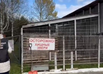 На турбазе в Сибири медведь убил работника