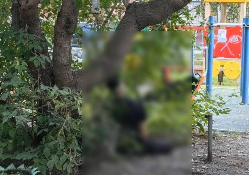 Молодого человека без признаков жизни с веревкой на шее обнаружили в одном из дворов Новосибирска