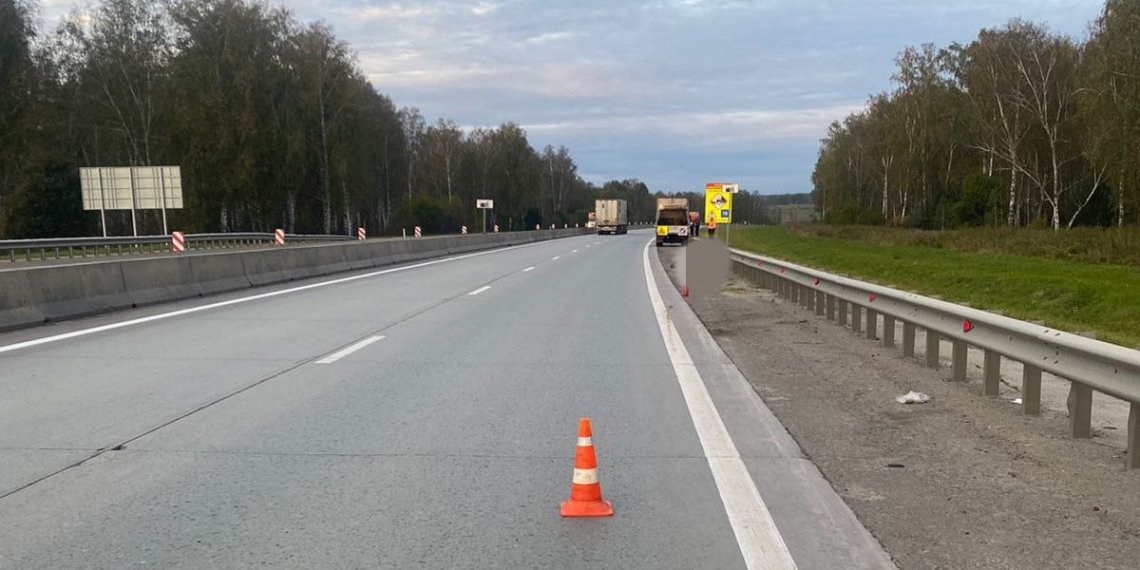 Пожилого мужчину насмерть сбила «газель» на автодороге в Мошковском районе