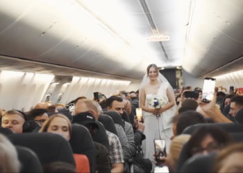 Ведущий из Бердска провел свадьбу на борту самолета