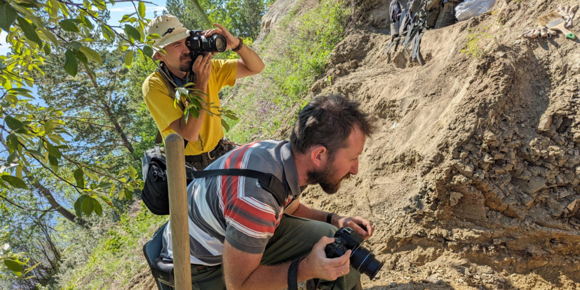 Найдены остатки субтропического растения возрастом более 180 млн лет в Иркутской области