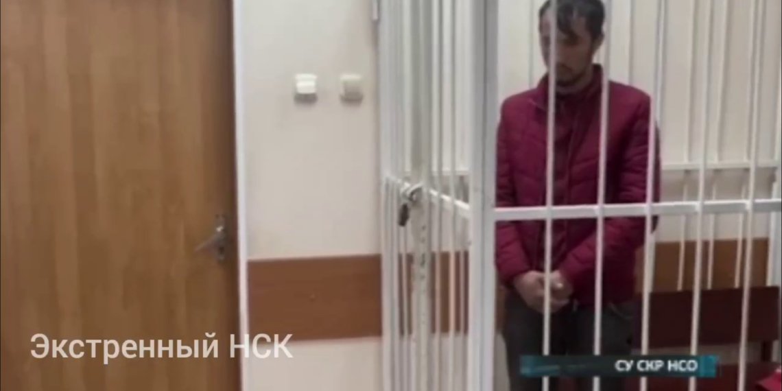 Трогал и целовал: в Новосибирске подозреваемого в педофилии мигранта отправили в СИЗО