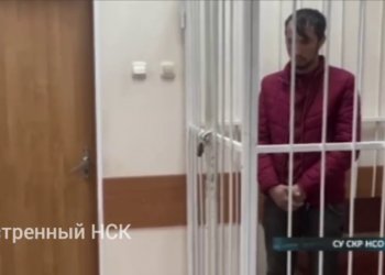 Трогал и целовал: в Новосибирске подозреваемого в педофилии мигранта отправили в СИЗО