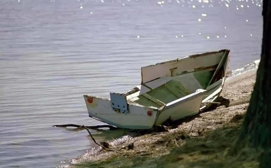 Водителя лодки осудят за смерть пассажира на Алтае