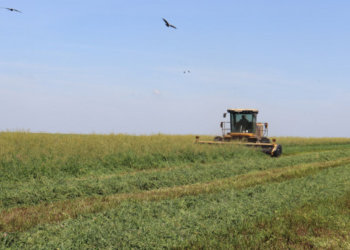 В Новосибирской области введен режим ЧС