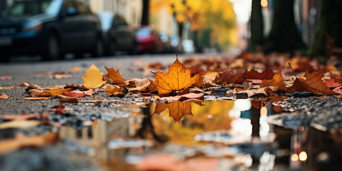 Неделя осенних фестивалей стартовала в Новосибирске