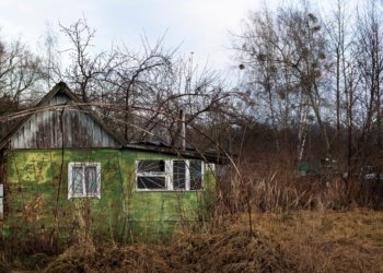 Деревня Кругленькая исчезнет с карты Новосибирской области