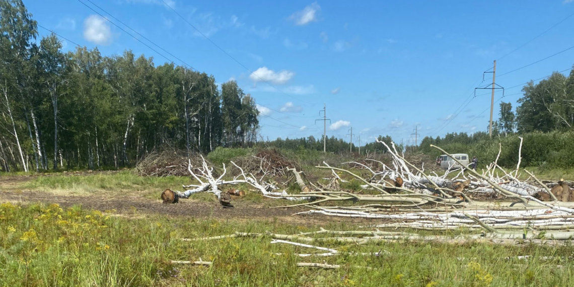 Более 5 млн рублей вложили «Россети Новосибирск» в ремонт электросетей на западе региона