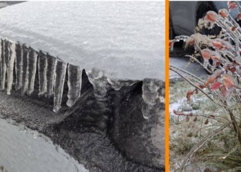 Всё будто в глазури: сибиряки делятся фото с последствиями ледяного дождя